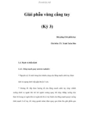 Giải phẫu vùng cẳng tay (Kỳ 3)