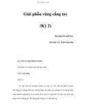 Giải phẫu vùng cẳng tay (Kỳ 2)