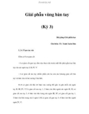 Giải phẫu vùng bàn tay (Kỳ 3)