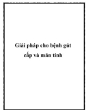 Giải pháp cho bệnh gút cấp và mãn tính