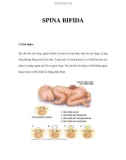 SPINA BIFIDA