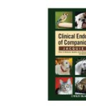 Ebook Clinical endocrinology of companion animals: Part 1