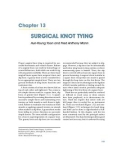 Ebook Fundamentals of small animal surgery: Part 2