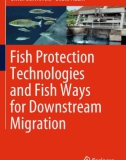 Ebook Fish protection technologies and fish ways for downstream migration: Part 1