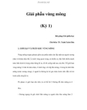 Giải phẫu vùng mông (Kỳ 1)