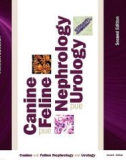 Ebook Canine and feline nephrology and urology (2/E): Part 1