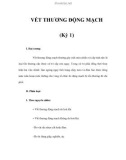 VẾT THƯƠNG ĐỘNG MẠCH (Kỳ 1)