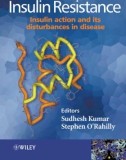 Insulin Action and Its Disturbances in Disease - part 1