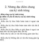 Bài giảng Lý thuyết KST