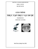 Giáo trình Thực tập thực vật dược (Ngành: Dược - CĐ) - Trường cao đẳng Bình Phước