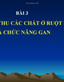 Bài giảng Bài 3: Hấp thu các chất ở ruột non và chức năng gan