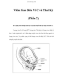 Viêm Gan Siêu Vi C và Thai Kỳ (Phần 2)