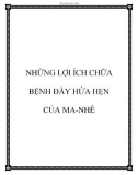 NHỮNG LỢI ÍCH CHỮA BỆNH ĐẦY HỨA HẸN CỦA MA-NHÊ