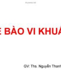 Bài giảng Tế bào vi khuẩn - ThS. Nguyễn Thanh Tố Nhi