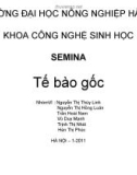 Bài thuyết trình seminar - tế bào gốc