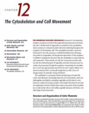 Ebook The cell - A molecular approach (4/E): Part 3