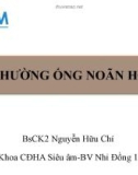 Bài giảng Bất thường ổn noãn hoàng – BS. CK2 Nguyễn Hữu Chí