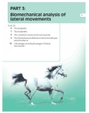 Ebook Biomechanics and physical training of the horse: Part 2