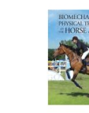 Ebook Biomechanics and physical training of the horse: Part 1