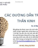 Bài giảng Giải phẫu: Các đường dẫn truyền thần kinh - Bs. Lê Mạnh Thường