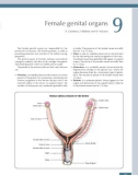 Ebook Morphological mouse phenotyping, anatomy, histology and imaging: Part 2