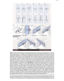 MEDICINE HURST VENTRICULAR ELECTROCARDIOGRAPHY - Part 9