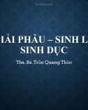 Bài giảng Giải phẫu sinh lý sinh dục - ThS. BS. Trần Quang Thảo