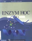 Ứng dụng Enzym học (Tập 1): Phần 1