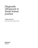 Ebook Diagnostic ultrasound in small animal practice: Part 1 - Paddy Mannion