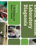 Ebook Exotic animal laboratory diagnosis: Part 1