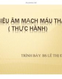 Siêu âm mạch máu thận (Thực hành)