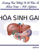 Bài giảng Hóa sinh gan