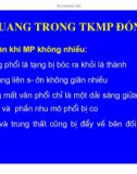 Tràn khí màng phổi part 2