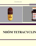 Bài giảng Dược lý chuyên đề - Nhóm Tetracyclin