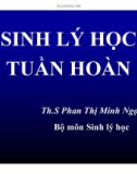 Bài giảng Sinh lý học tuần hoàn - ThS. Phan Thị Minh Ngọc