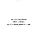 Bài giảng chuyên đề Sinh lý học: Quá trình tạo nước tiểu