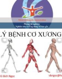 Bài giảng Sinh lý bệnh cơ xương khớp