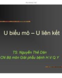 Giải phẫu bệnh - U biểu mô, U liên kết part 1