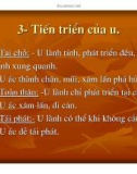 Giải phẫu bệnh - Bệnh học u part 4