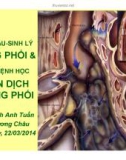 Bài giảng Giải phẫu sinh lý màng phổi & Sinh bệnh học tràn dịch màng phổi - BS. Huỳnh Anh Tuấn