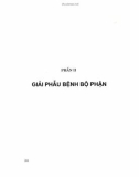 Các kiến thức về giải phẫu bệnh học (Tái bản lần thứ ba có sửa chữa bổ sung): Phần 2