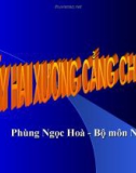 Bài giảng: Gãy hai xương cẳng chân