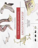 Ebook Avian anatomy - Textbook and colour atlas (2/E): Part 1