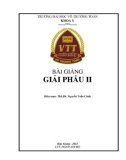 Bài giảng Giải phẫu 2: Phần 1 - Trường ĐH Võ Trường Toản (Năm 2022)