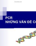 PCR NHỮNG VẤN ĐỀ CƠ BẢN