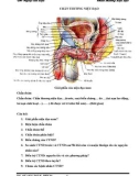 Đề cương Ngoại tiết niệu: Chấn thương niệu đạo