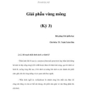 Giải phẫu vùng mông (Kỳ 3)