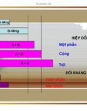 Bài giảng dược lý học part 8