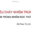 Bài giảng Tiêu chảy nhiễm trùng (Nhiễm trùng nhiễm độc thức ăn) - BS. Phạm Thị Lệ Hoa