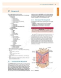 Ebook Histology - An essential textbook: Part 2